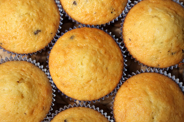 muffins - breakfast