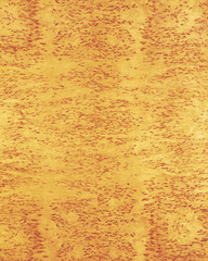 wood texture background_masur birch_23. high resolution wooden.