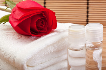 Obraz na płótnie Canvas rose extract for aromatherapy
