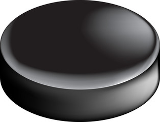 Hockey Puck