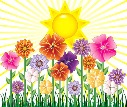 Spring Day