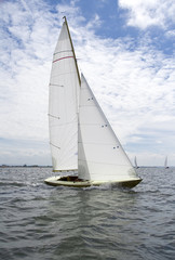 Fototapeta premium Sailing with sharpie