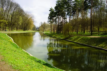 Fototapeten Frühling park in early spring  © Daria Minaeva