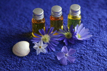 Traumhaft entspannen