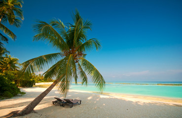 Obraz na płótnie Canvas Tropikalna plaża marzenie