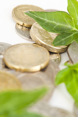 Leaves on Various Types of Coins