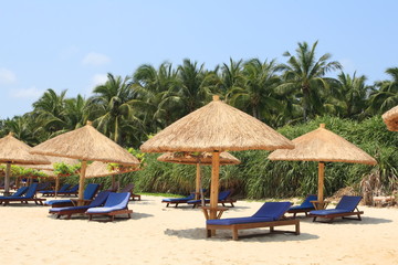 Plank beds on a beach