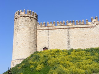 Fototapeta na wymiar Castillo de Maqueda (Vista General)