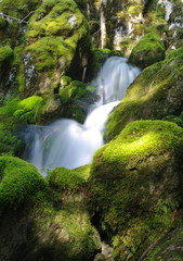 rivière de montagne