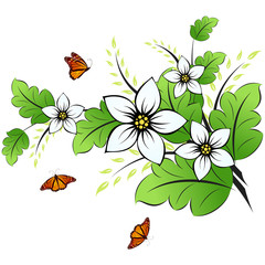 Flower background with butterfly