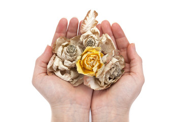 fleur sèche © RomainQuéré