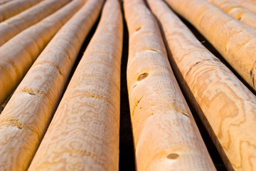 wood
