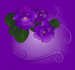 three violets
