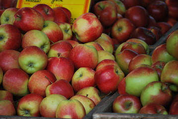 Äpfel