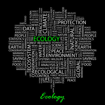 ECOLOGY. Wordcloud illustration.