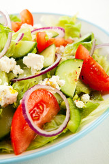 Vegetable salad with cheese