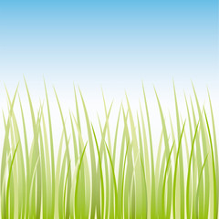 Vector grass illustration border background