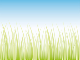 Vector grass illustration border background