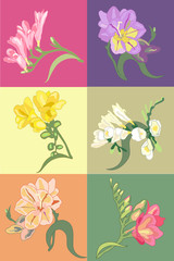 Set of 6 decorative hand drown floral elements