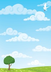 Fototapeta premium Meadow Background