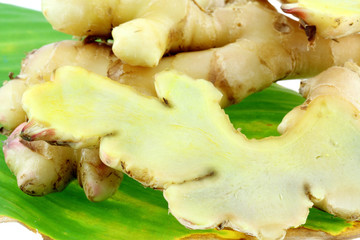 rhizomes gingembre, zingiber officinale, fond blanc