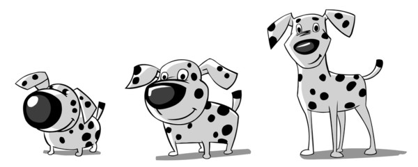 three dalmatians