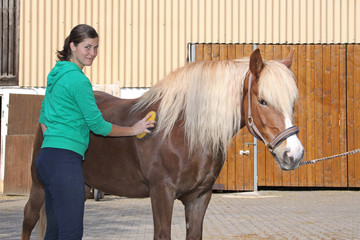 Reiterin putzt Pferd