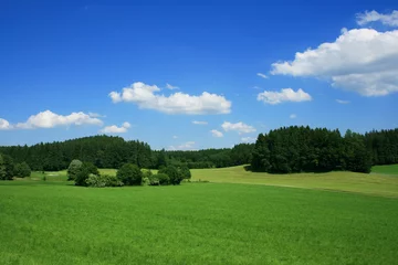 Kunstfelldecke mit Foto Sommer Landschaft in Oberbayern
