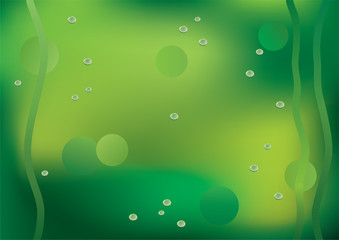 The green background.