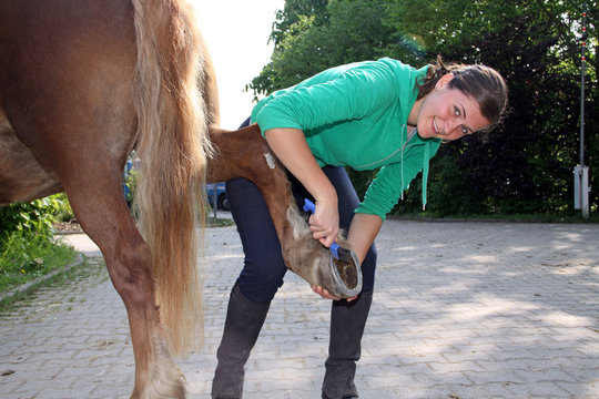 Vorbereitung zum Reiten