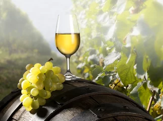 Cercles muraux Vin vin