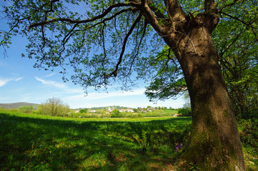 Fototapeta premium Sare village du pays basque
