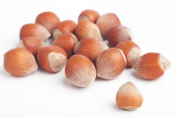 Lots of blurred hazelnuts with front one in focus on white