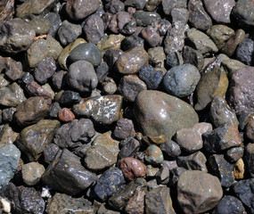 Bunte Kiesel