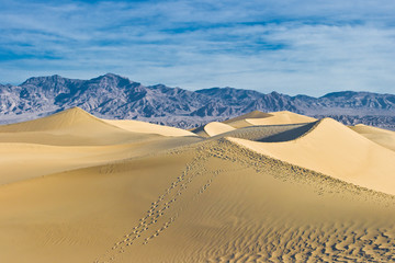 Fototapeta na wymiar Dunes at Death Valley