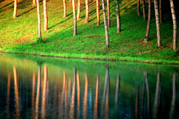 Pai Pangung Maehongson Thailand