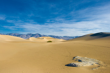 Fototapeta na wymiar Dunes at Death Valley