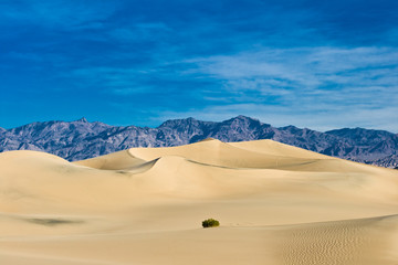Fototapeta na wymiar Dune at Death Valley