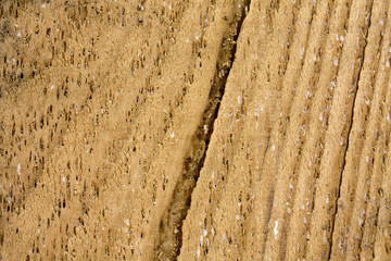 wooden background
