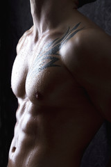 Body