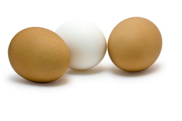 egg
