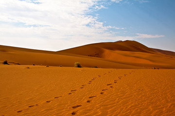 Fototapeta na wymiar utworów na pustyni