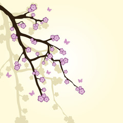 abstract background with sakura branch