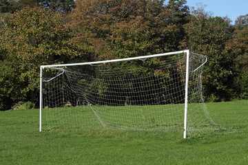 Park soccer football pitch goal posts and net.