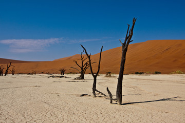 dead vlei namibia