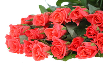 big bouquet of beautiful is bright-pink roses