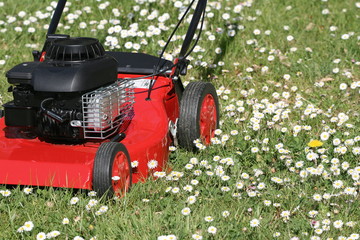 tondeuse, herbe, jardin, pelouse, gazon, couper