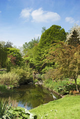 Garden with Heron in Hyde Park London