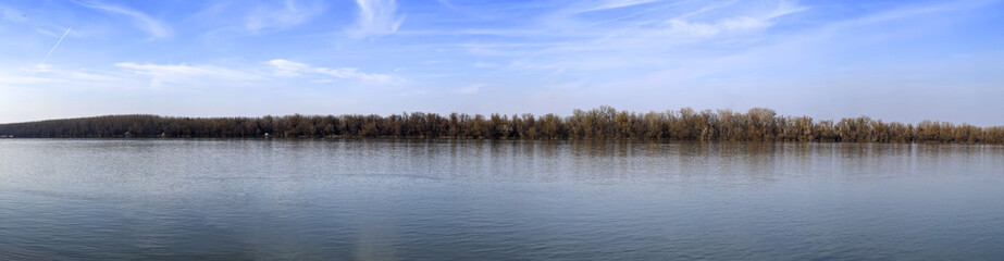 Fototapeta na wymiar woody river bank at spring