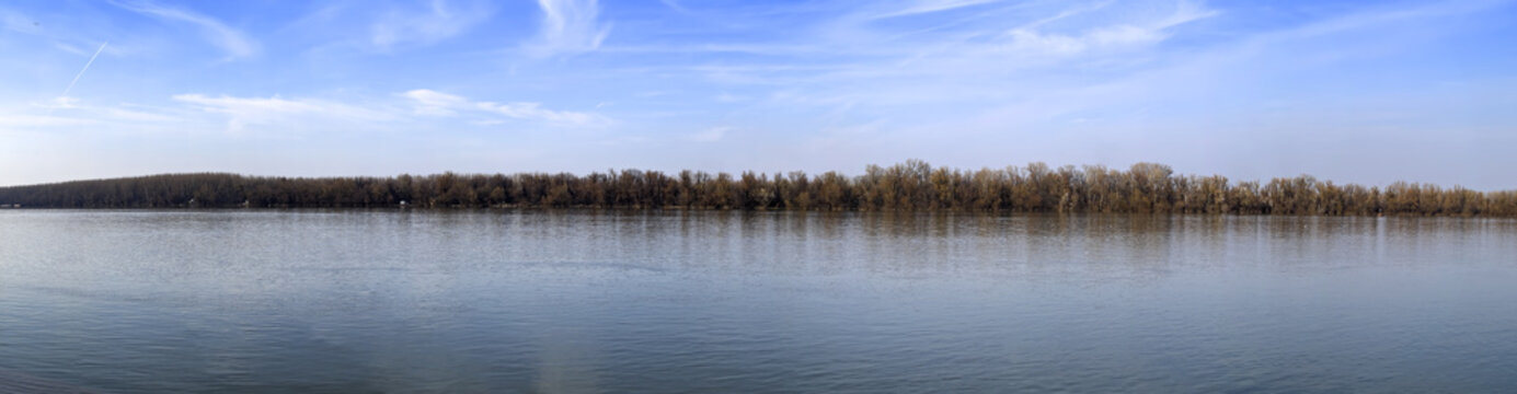 woody river bank at spring